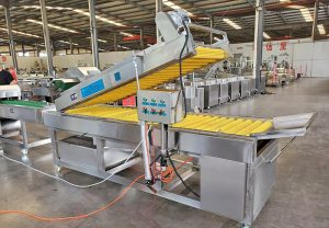 Brush Type Corn Silk Cleaning Machine