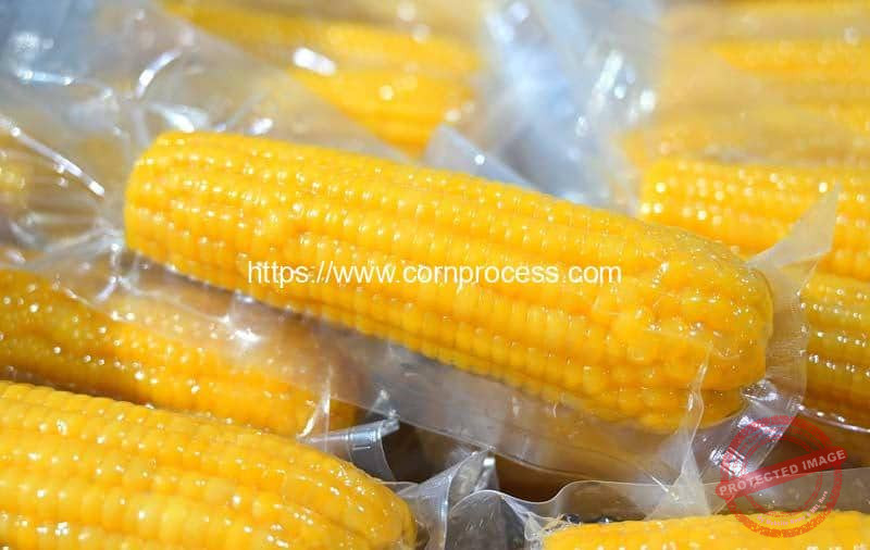 Homemade Corn Vacuum at Troy Jenkins blog