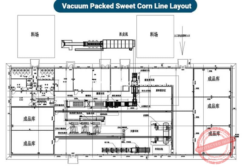 Corn Layout Vacuum Packed Sweet Corn Production Line - Corn Flake Machine, Puffed ...