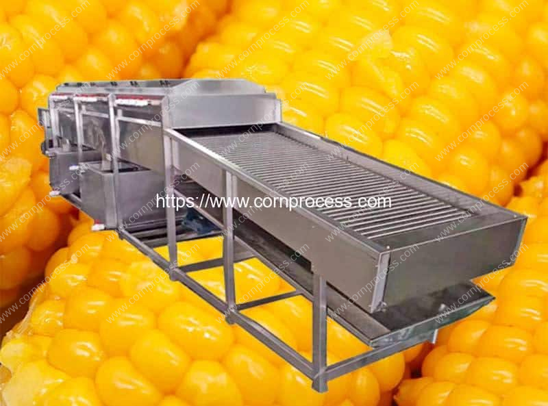 Fresh-Corn-Silk-Washing-Cleaning-Removing-Machine