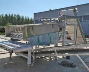 Rubber Roller Type Fresh Sweet Corn Dehusking Machine Rubber Roller Type Fresh Sweet Corn Dehusking Machine