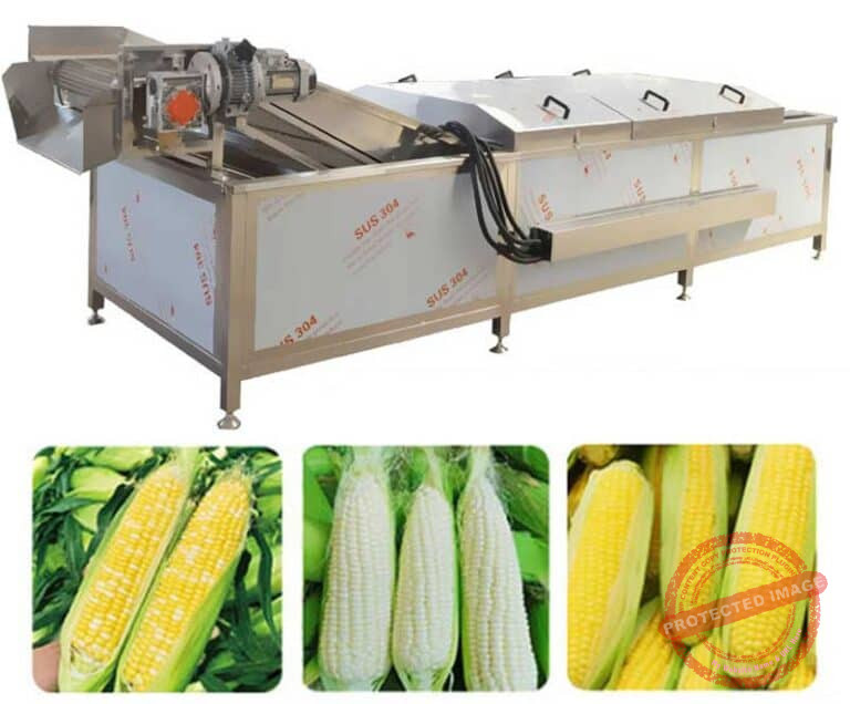 Automatic Sweet Corn Cob Blanching Machine - Corn Flake Machine, Puffed ...
