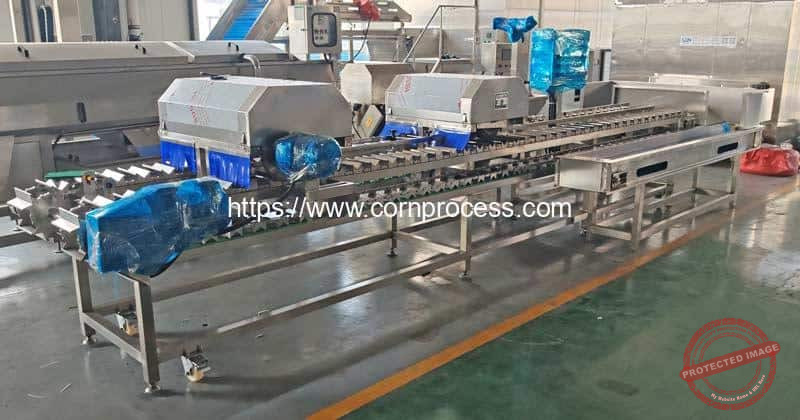 Vacuum Packed Sweet Corn Cob Production Line - Corn Flake Machine ...