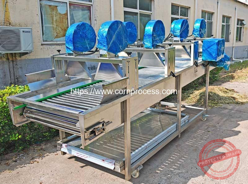 Vacuum Packed Sweet Corn Cob Production Line - Corn Flake Machine ...