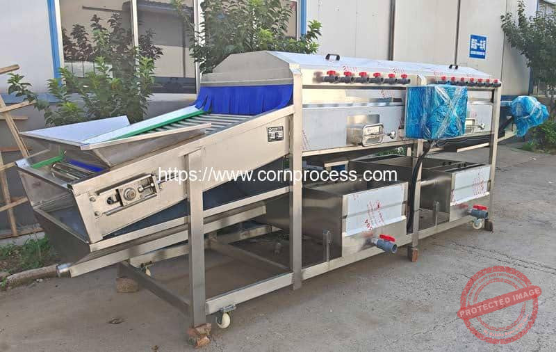 Vacuum Packed Sweet Corn Cob Production Line - Corn Flake Machine ...