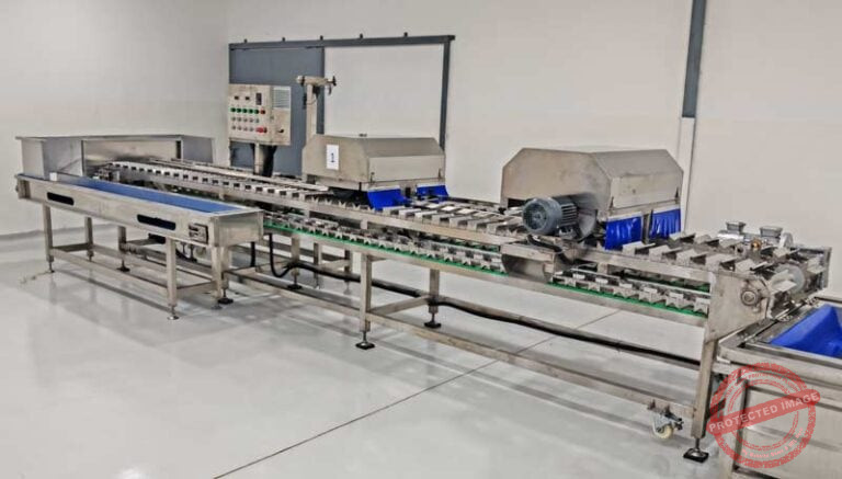 Fresh Sweet Corn Top and Tail Cutter Machine - Corn Flake Machine ...