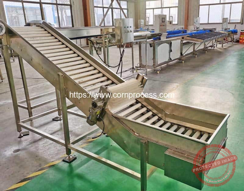 Corn Grader Machine Automatic Sweet Corn Weight Grader Machine - Corn Flake Machine, Puffed ...