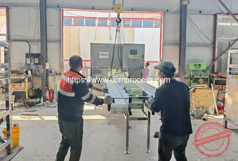 Automatic-Sweet-Corn-Air-Blow-Husk-Removing-Machine-for-Spain-Customer