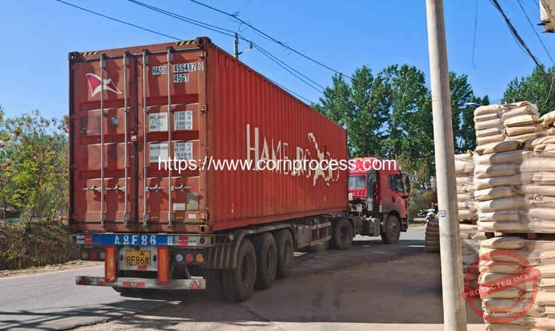 Automatic-Sweet-Corn-Half-Dividing-Cutting-Machine-Delivery-Container