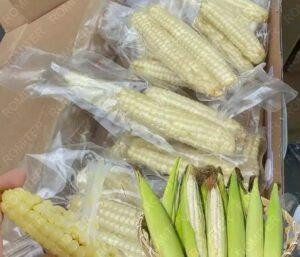 Automatic Vertical Feeding Double Sweet Corn Vacuum Packing Machine Automatic Vertical Feeding Double Sweet Corn Vacuum Packing Machine