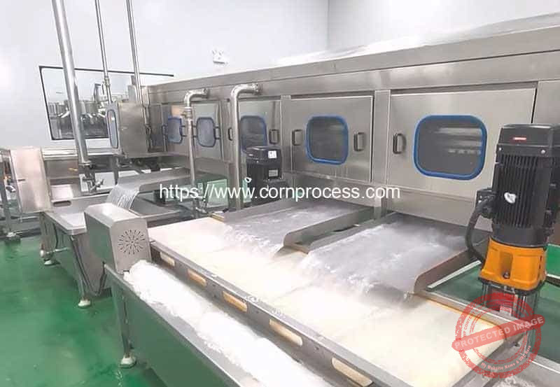 High-Pressure-Water-Sweet-Corn-Washing-Machine-with-Outer-Filter-Water-Circulation-Tank