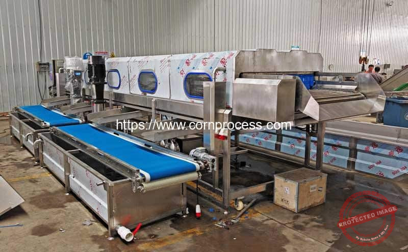 Hydraulic-Lift-Type-High-Pressure-Water-Spray-Sweet-Corn-Washing-Machine-with-Container-Conveyor