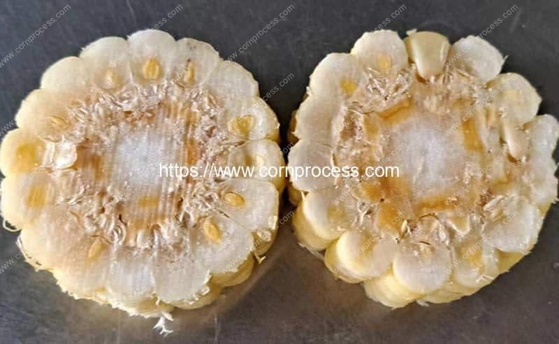 Band-Saw-Type-Sweet-Corn-Short-Cutting-Machine-Cutting-Result
