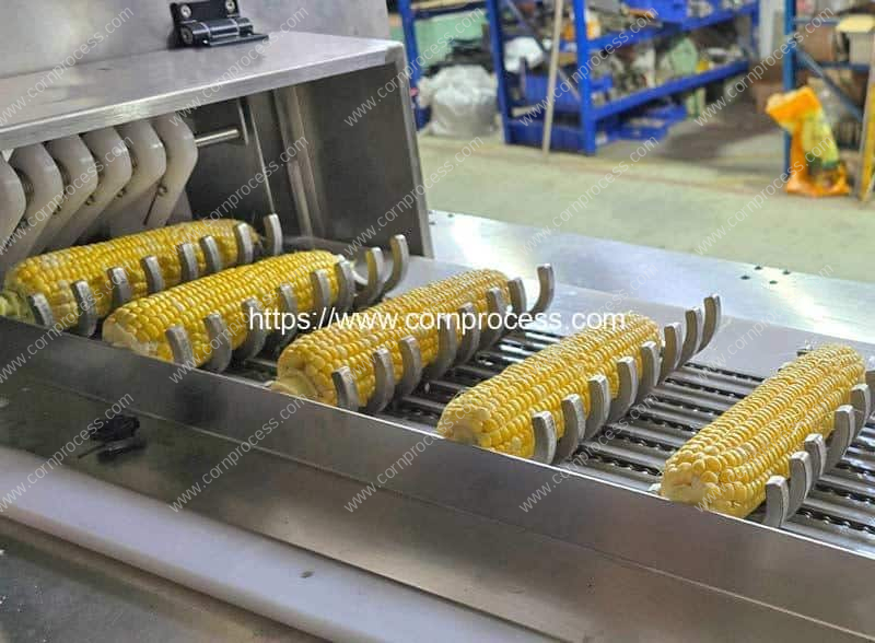 Band-Saw-Type-Sweet-Corn-Short-Cutting-Machine-Feeding-Hopper