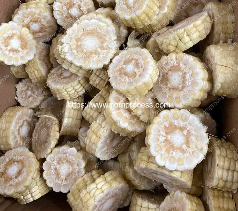Band-Saw-Type-Sweet-Corn-Short-Cutting-Machine-Smooth-Cutting-Result
