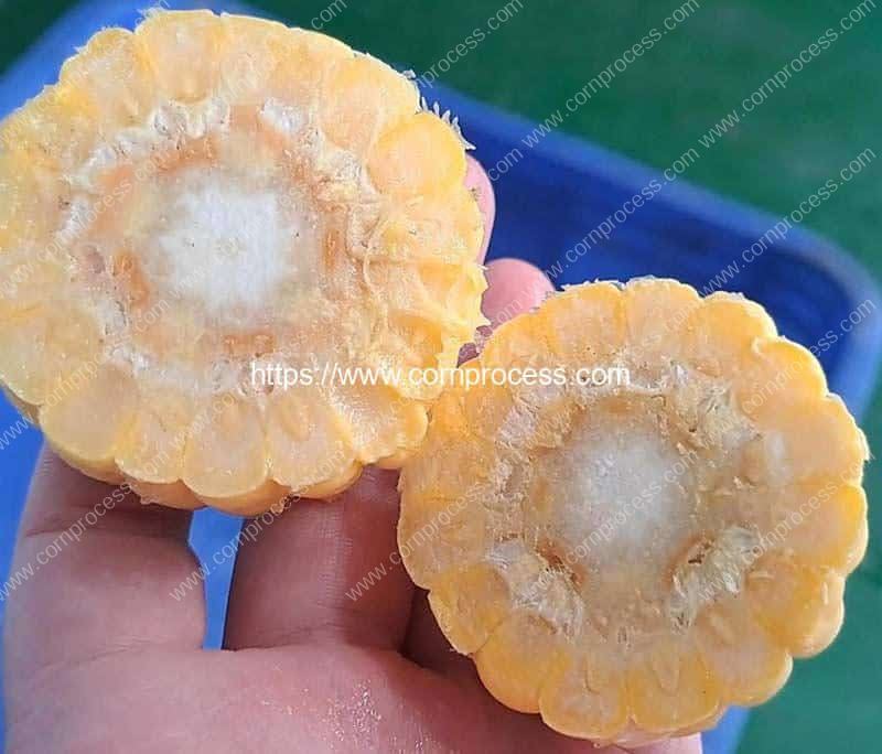Band-Saw-Type-Sweet-Corn-Short-Segment-Cutting-Machine