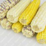 Full Automatic Frozen Sweet Corn Cob Production Line