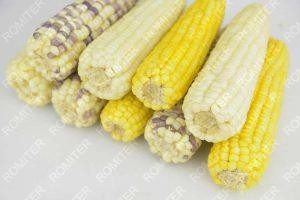 Full Automatic Frozen Sweet Corn Cob Production Line Full Automatic Frozen Sweet Corn Cob Production Line