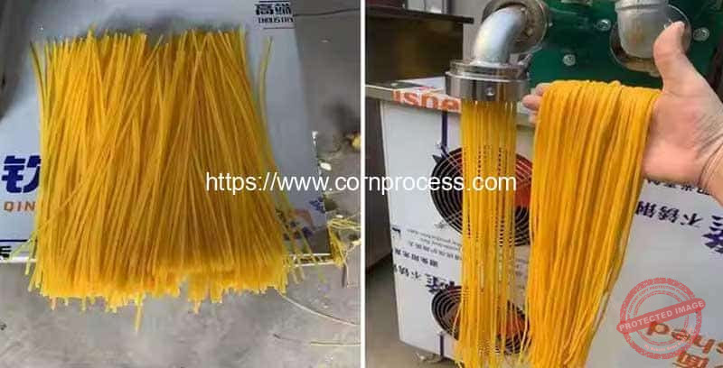 Automatic-Corn-Noodle-Pasta-Extruder-Making-Machine-Pasta-Noodle-Result
