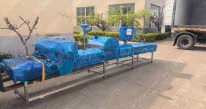 Fresh Sweet Corn Top and Tail Cutting Machine for Slovenia Customer
