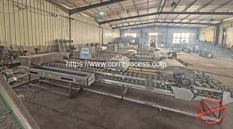 Fresh-Sweet-Corn-Top-and-Tail-Cutting-Machine-Ready-for-Slovenia