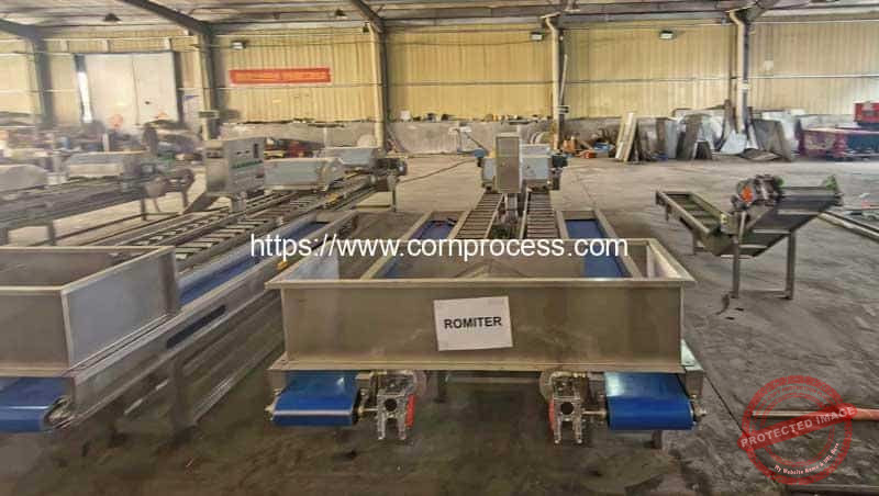 Fresh-Sweet-Corn-Top-and-Tail-Cutting-Machine-for-Slovenia-Customer