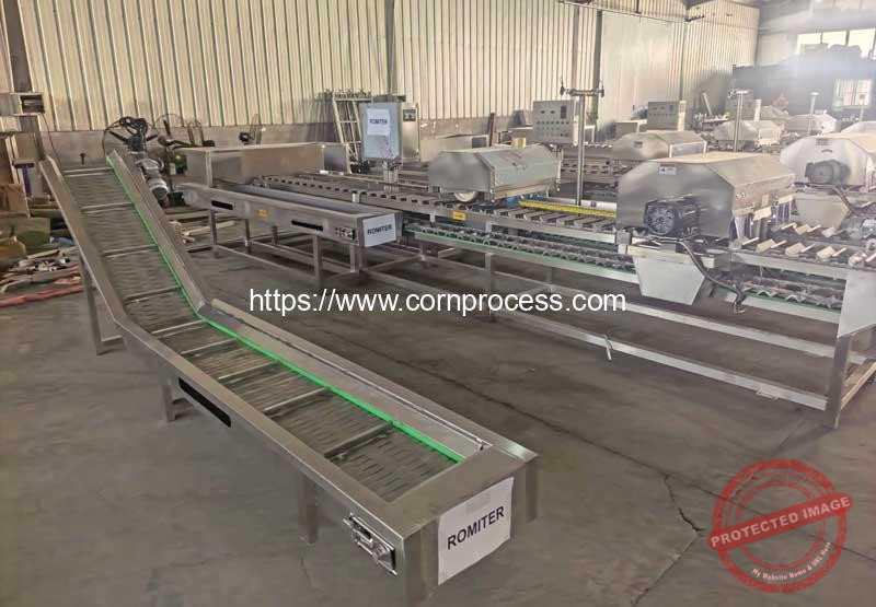 Fresh-Sweet-Corn-Top-and-Tail-Cutting-Machine-for-Slovenia